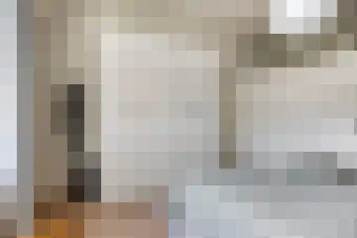 Walterus Pijnenborghhof 29 Uden thumbnail 33