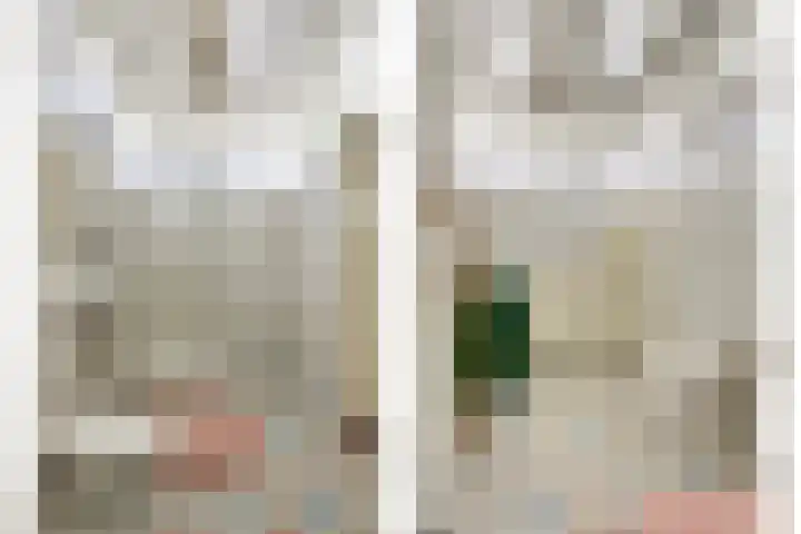 Walterus Pijnenborghhof 29 Uden thumbnail 34