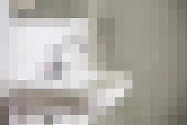Walterus Pijnenborghhof 29 Uden thumbnail 35