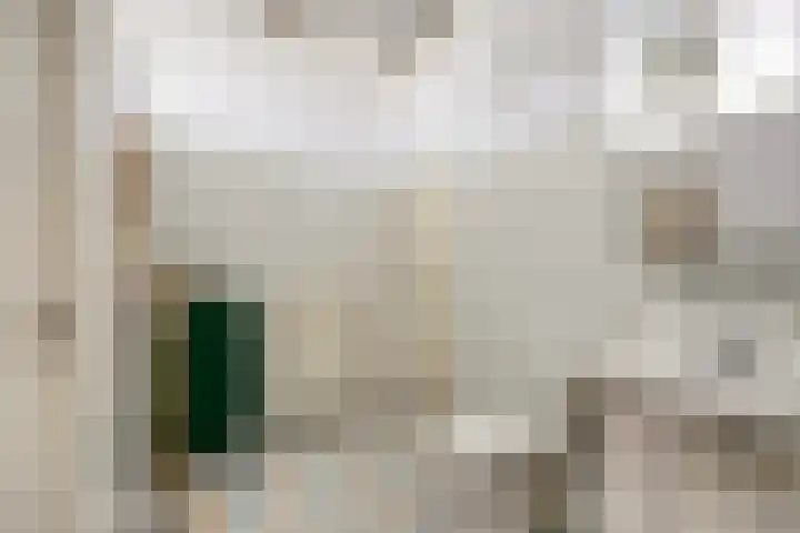 Walterus Pijnenborghhof 29 Uden thumbnail 37