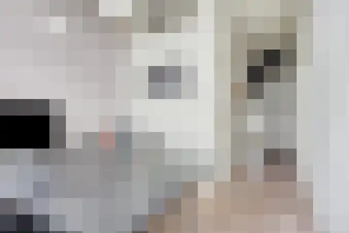 Walterus Pijnenborghhof 29 Uden thumbnail 38