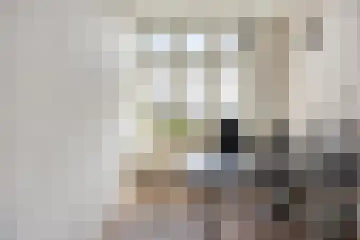 Walterus Pijnenborghhof 29 Uden thumbnail 40