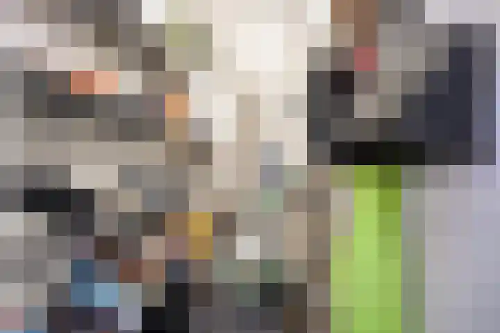Walterus Pijnenborghhof 29 Uden thumbnail 43