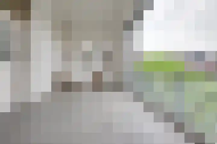 Walterus Pijnenborghhof 29 Uden thumbnail 44