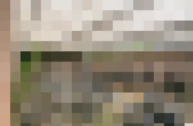 Walterus Pijnenborghhof 29 Uden thumbnail 51