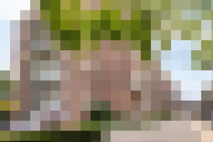 Walterus Pijnenborghhof 29 Uden thumbnail 53