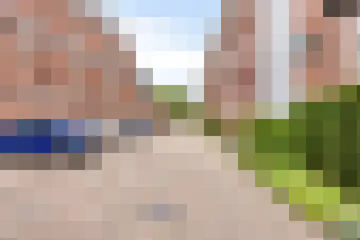Walterus Pijnenborghhof 29 Uden thumbnail 55