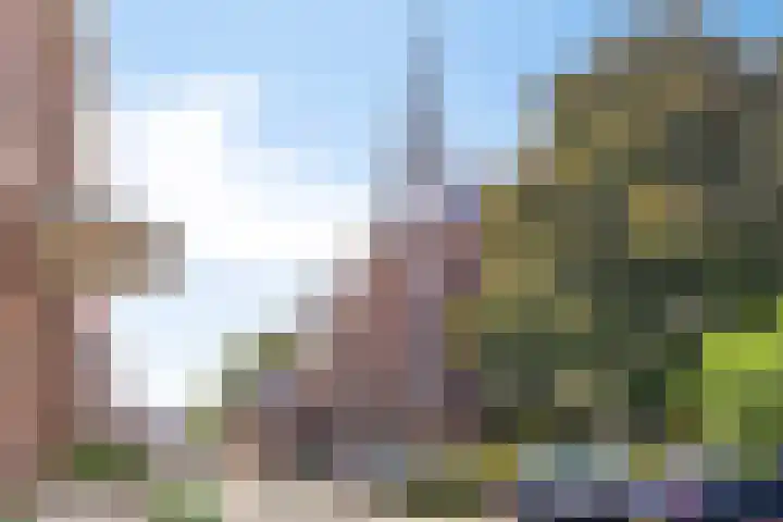 Walterus Pijnenborghhof 29 Uden thumbnail 59