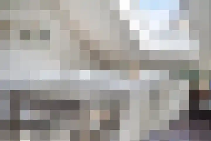 Walterus Pijnenborghhof 29 Uden thumbnail 6