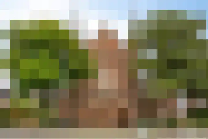Walterus Pijnenborghhof 29 Uden thumbnail 61