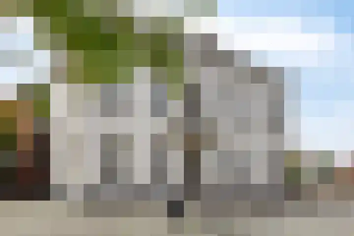 Walterus Pijnenborghhof 29 Uden thumbnail 62