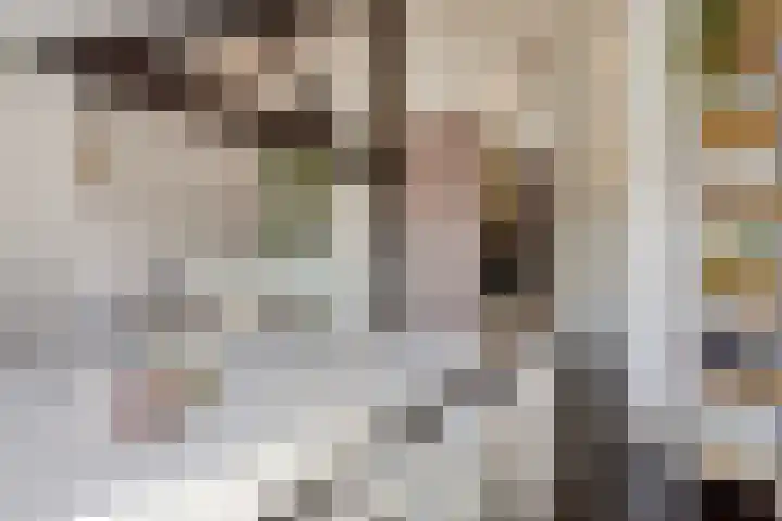 Walterus Pijnenborghhof 29 Uden thumbnail 7