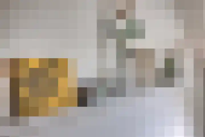 Walterus Pijnenborghhof 29 Uden thumbnail 9