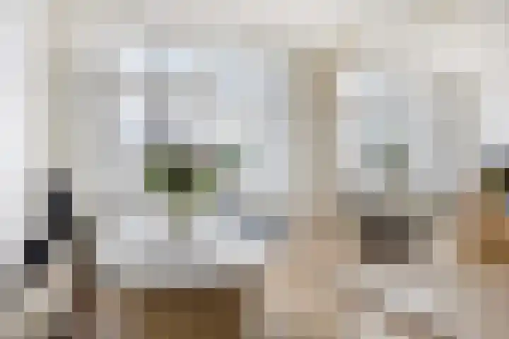 Walterus Pijnenborghhof 31 Uden thumbnail 10