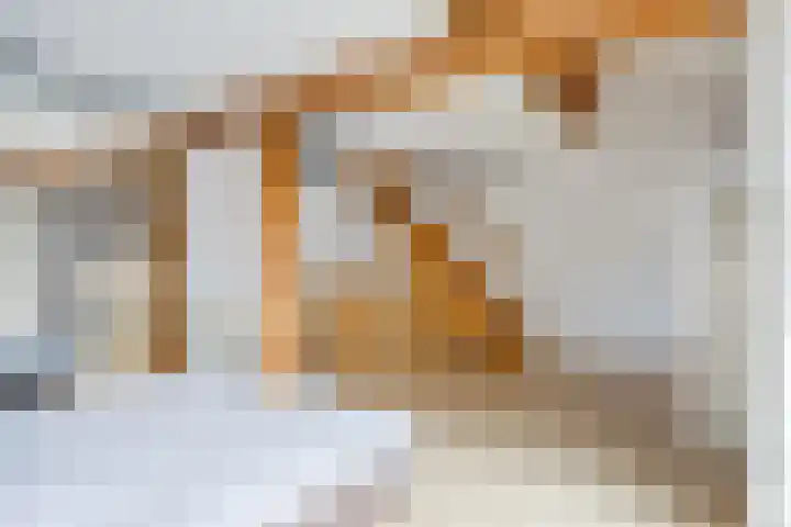 Walterus Pijnenborghhof 31 Uden thumbnail 15
