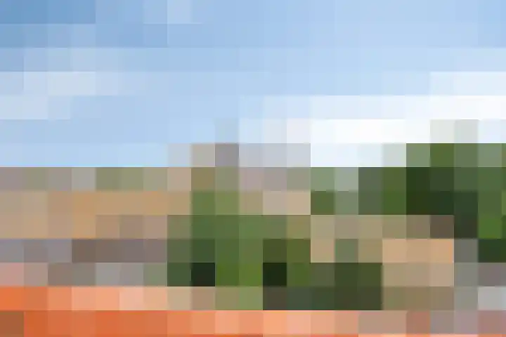 Walterus Pijnenborghhof 31 Uden thumbnail 19