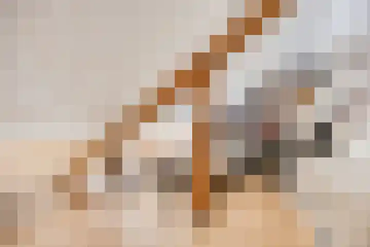 Walterus Pijnenborghhof 31 Uden thumbnail 20