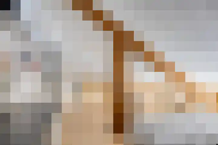 Walterus Pijnenborghhof 31 Uden thumbnail 21