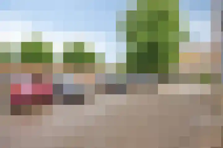 Walterus Pijnenborghhof 31 Uden thumbnail 25