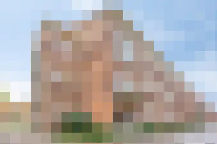 Walterus Pijnenborghhof 31 Uden thumbnail 27