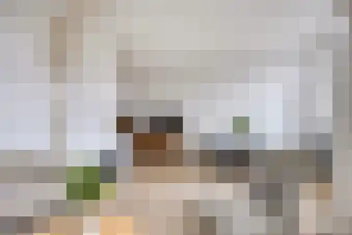 Walterus Pijnenborghhof 31 Uden thumbnail 7