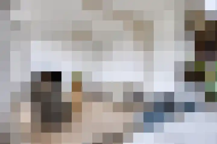 Walterus Pijnenborghhof 31 Uden thumbnail 8