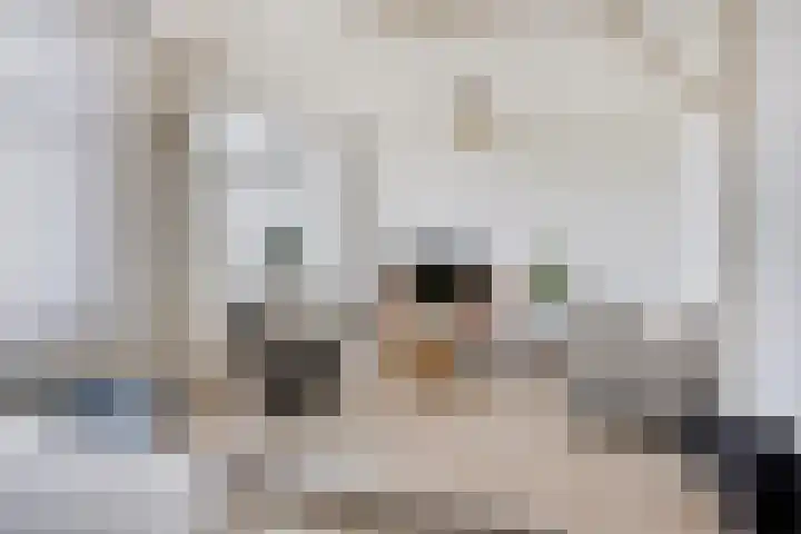 Walterus Pijnenborghhof 31 Uden thumbnail 9