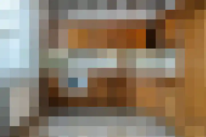 Walterus van Houtstraat 38 Nistelrode thumbnail 11