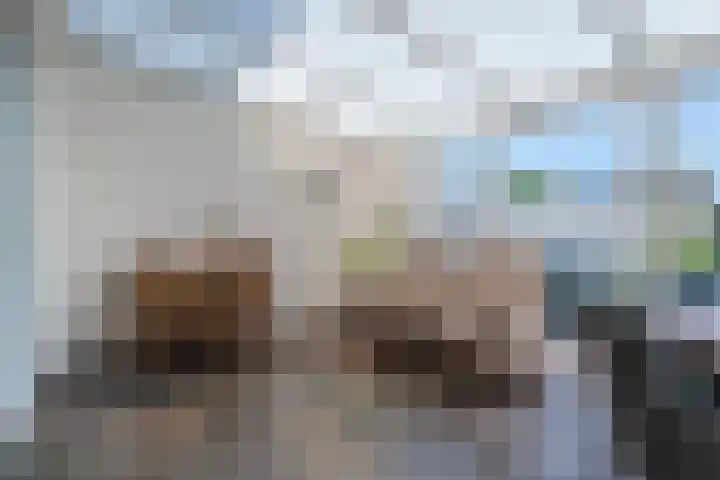 Walterus van Houtstraat 38 Nistelrode thumbnail 16