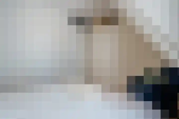 Walterus van Houtstraat 38 Nistelrode thumbnail 22