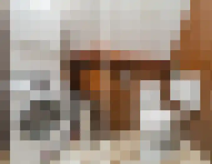 Walterus van Houtstraat 38 Nistelrode thumbnail 31