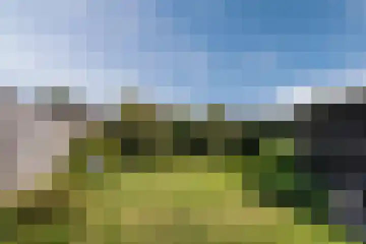 Walterus van Houtstraat 38 Nistelrode thumbnail 32