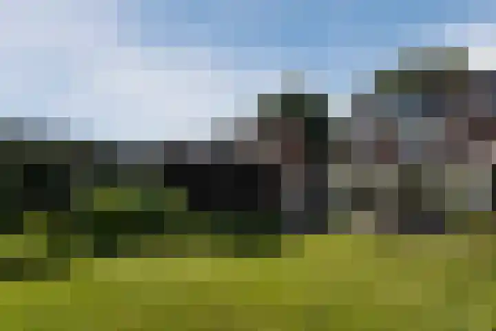 Walterus van Houtstraat 38 Nistelrode thumbnail 33