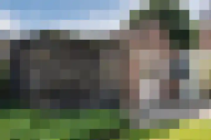 Walterus van Houtstraat 38 Nistelrode thumbnail 34