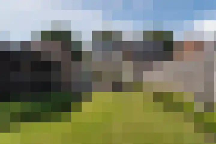 Walterus van Houtstraat 38 Nistelrode thumbnail 36