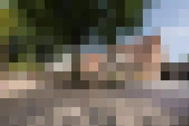 Walterus van Houtstraat 38 Nistelrode thumbnail 37