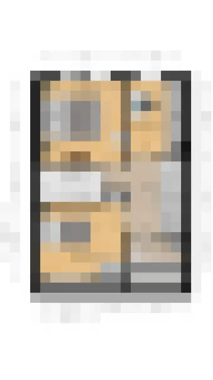 Walterus van Houtstraat 38 Nistelrode thumbnail 39