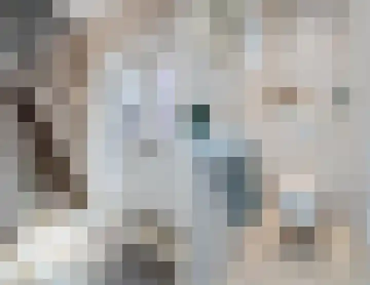 Walterus van Houtstraat 38 Nistelrode thumbnail 5