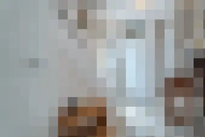 Walterus van Houtstraat 38 Nistelrode thumbnail 6