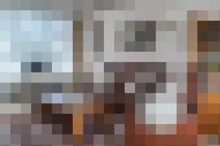 Walterus van Houtstraat 38 Nistelrode thumbnail 7