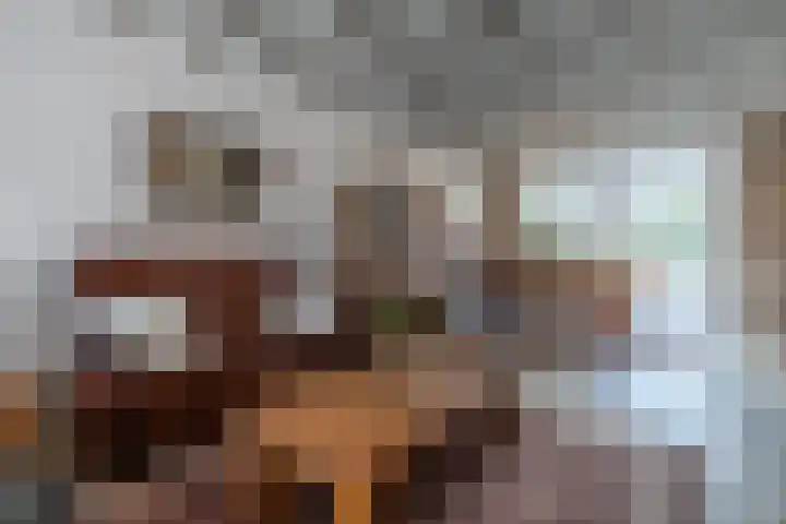 Walterus van Houtstraat 38 Nistelrode thumbnail 8