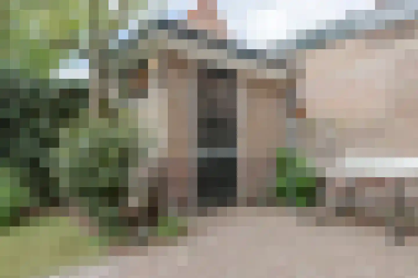 Waltherlaan 16 Bussum thumbnail 30