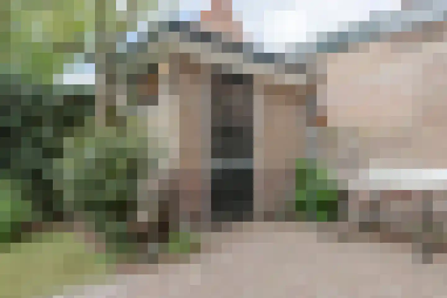Waltherlaan 16 Bussum thumbnail 30