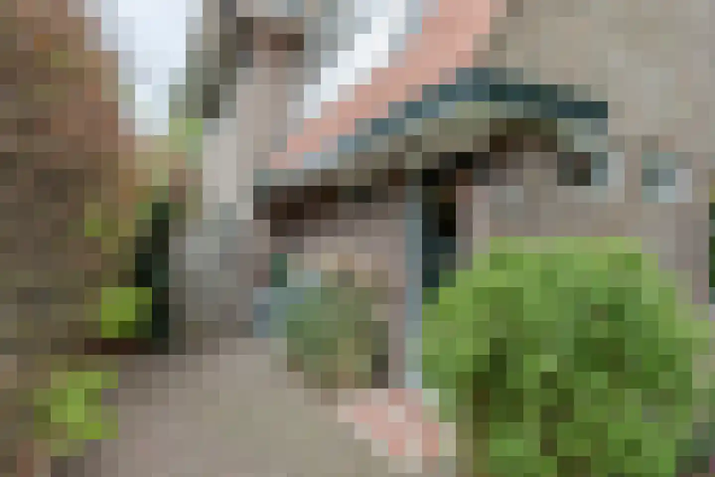 Waltherlaan 16 Bussum thumbnail 32