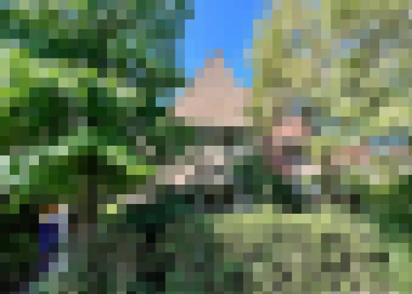 Waltherlaan 16 Bussum thumbnail 34