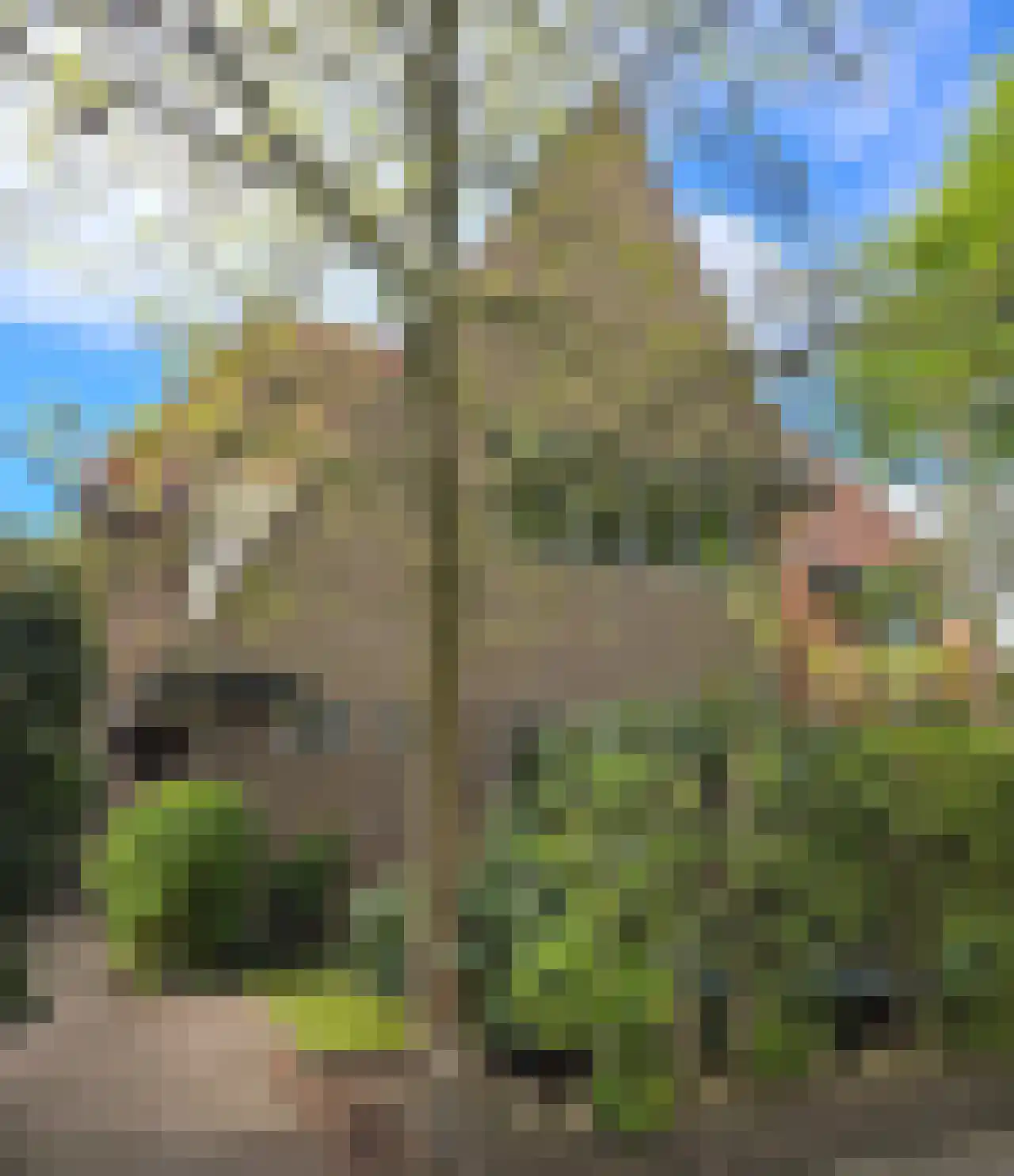 Waltherlaan 16 Bussum thumbnail 35