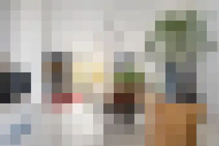 Waltmanstraat 3 Zwaanshoek thumbnail 10