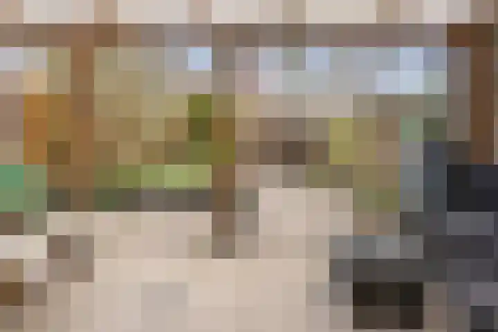 Waltmanstraat 3 Zwaanshoek thumbnail 15