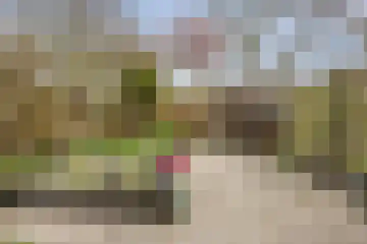Waltmanstraat 3 Zwaanshoek thumbnail 16