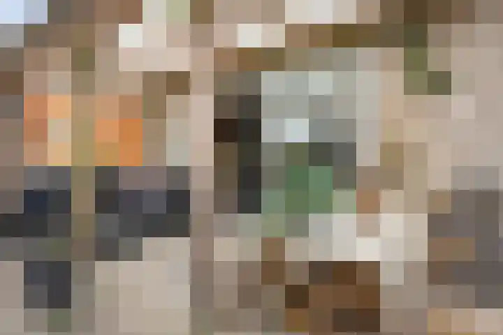 Waltmanstraat 3 Zwaanshoek thumbnail 17